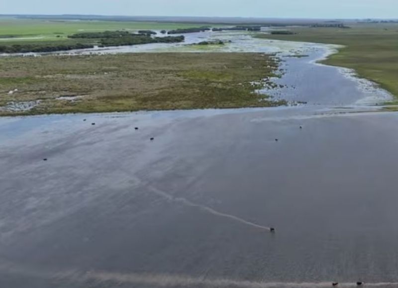 VIDEO | Inundaciones históricas golpean al campo: el exceso de lluvias deja pérdidas y caminos intransitables