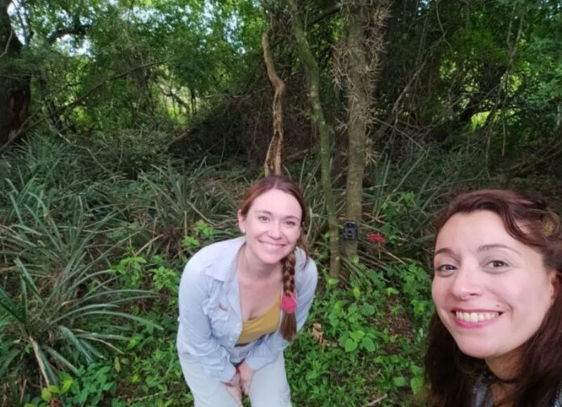 Investigadores reportaron primer oso hormiguero fuera del área de reintroducción