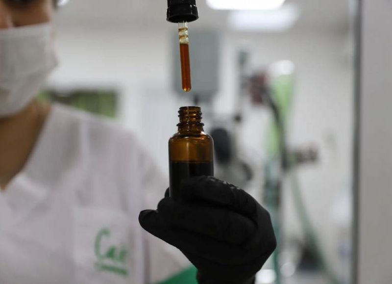 Corrientes impulsa la Jornada de Actualización en Cannabis Medicinal