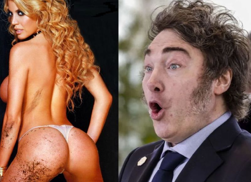 VIDEO | ¿Anda en busca de nueva "novia"? Milei quiere a Virginia Gallardo como candidata a "dipugato" de Corrientes