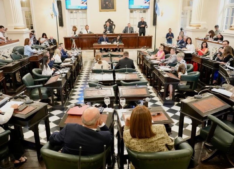 VIDEO | Diputados: se aprobó por unanimidad la ley provincial para abordar la endometriosis