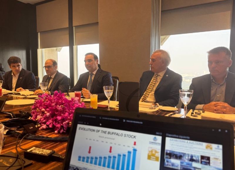 Valdés continúa exponiendo el potencial productivo de Corrientes ante empresarios en India